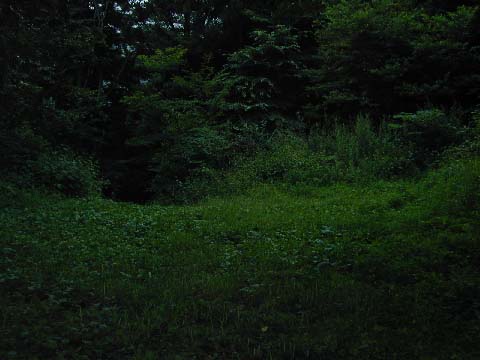 平坦地