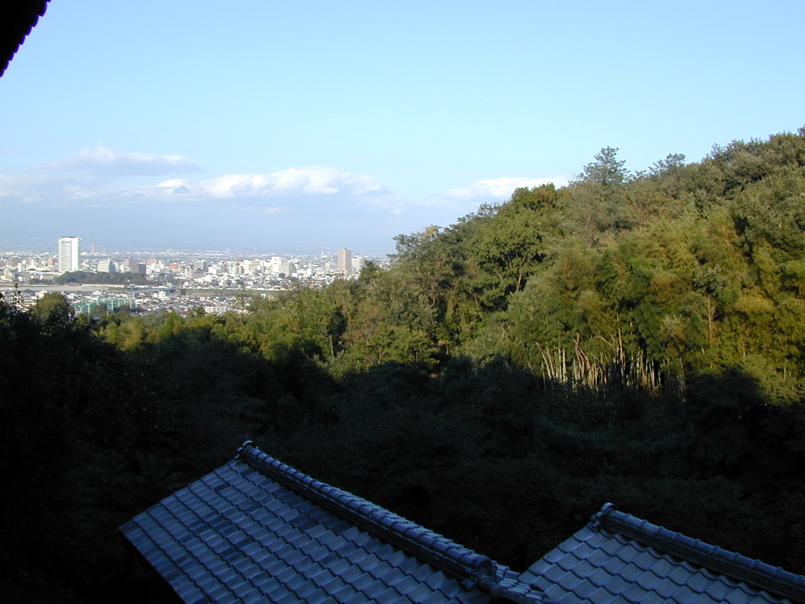 高崎市街の眺め