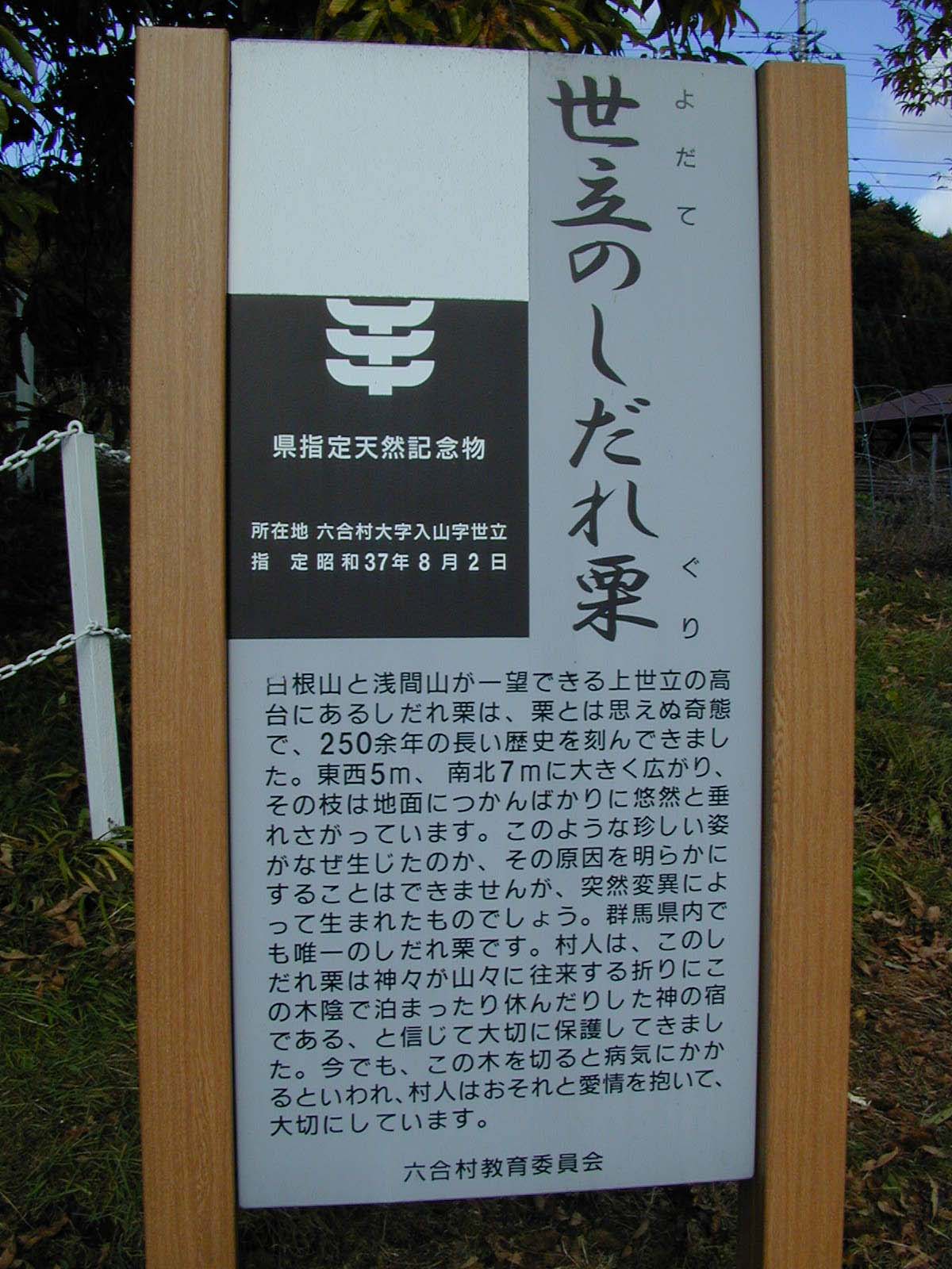 しだれ栗2