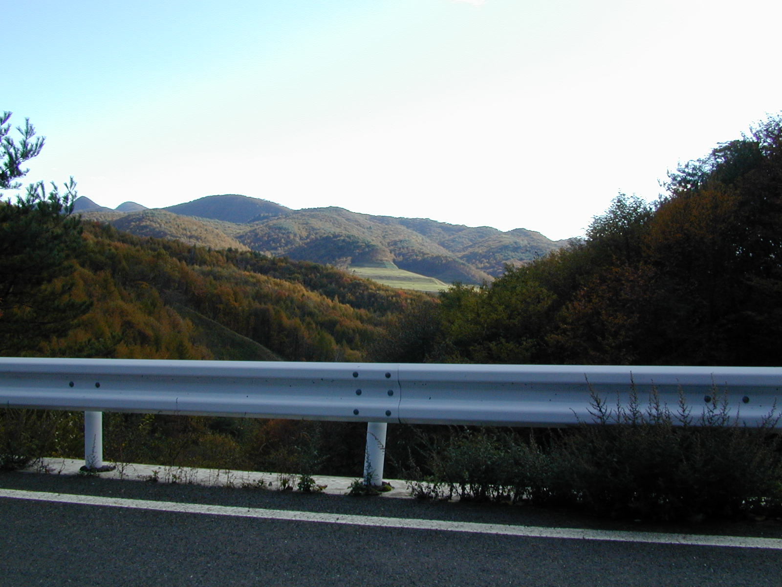 峠の景色