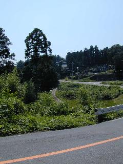 白岩観音