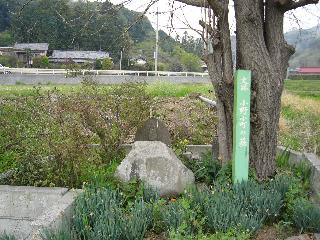 小野小町の墓